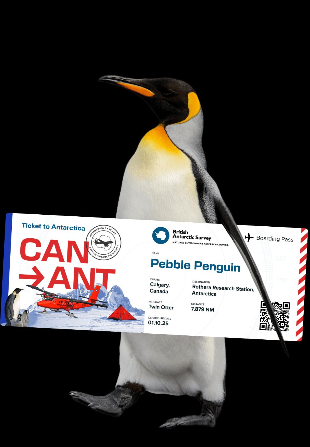 A penguin carrying a ticket to antartica
