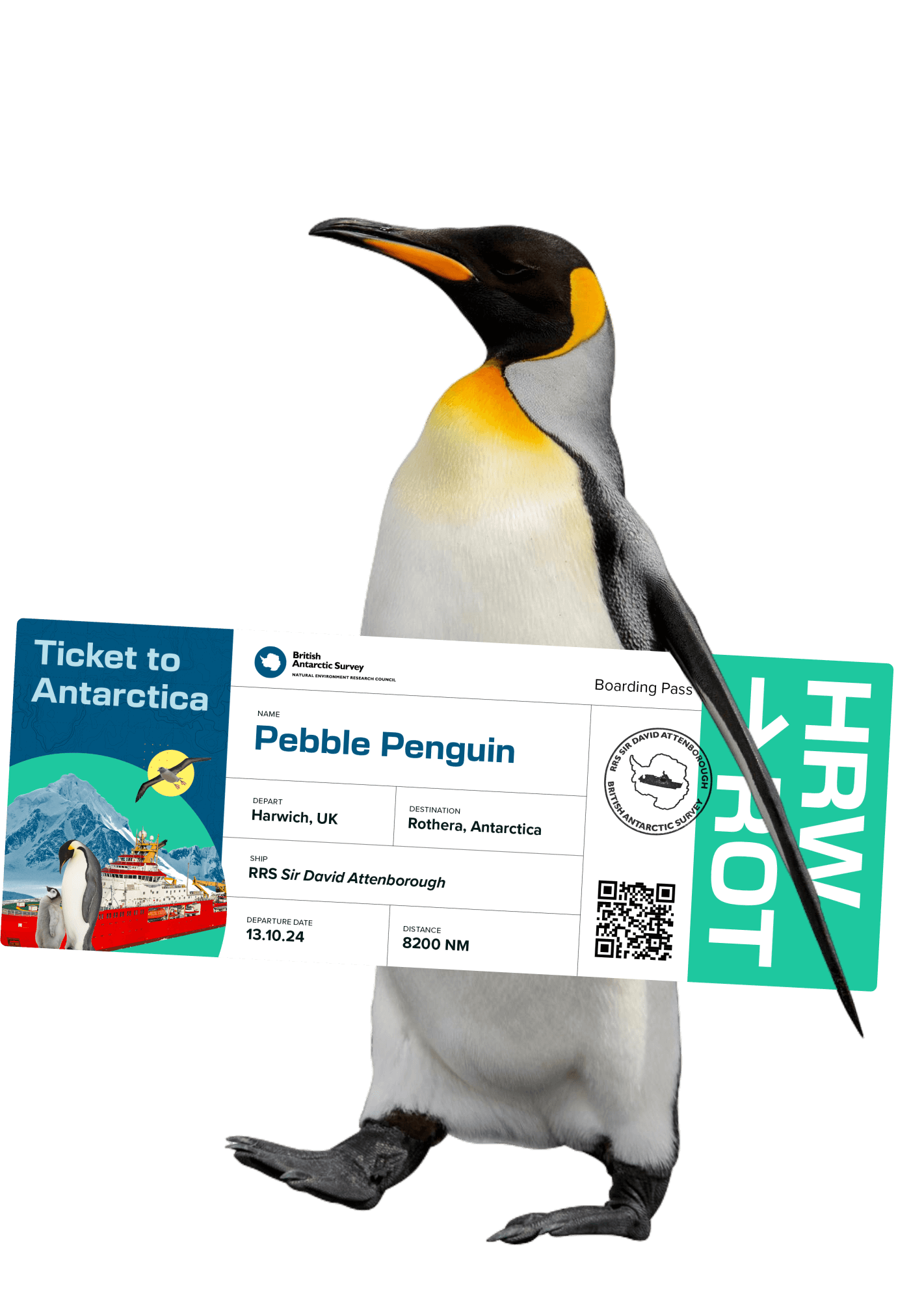 Pebbel Penguin holding a Ticket to Antartica