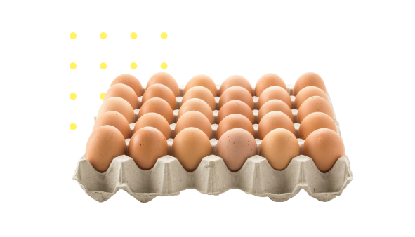 A cut out of a large tray of eggs