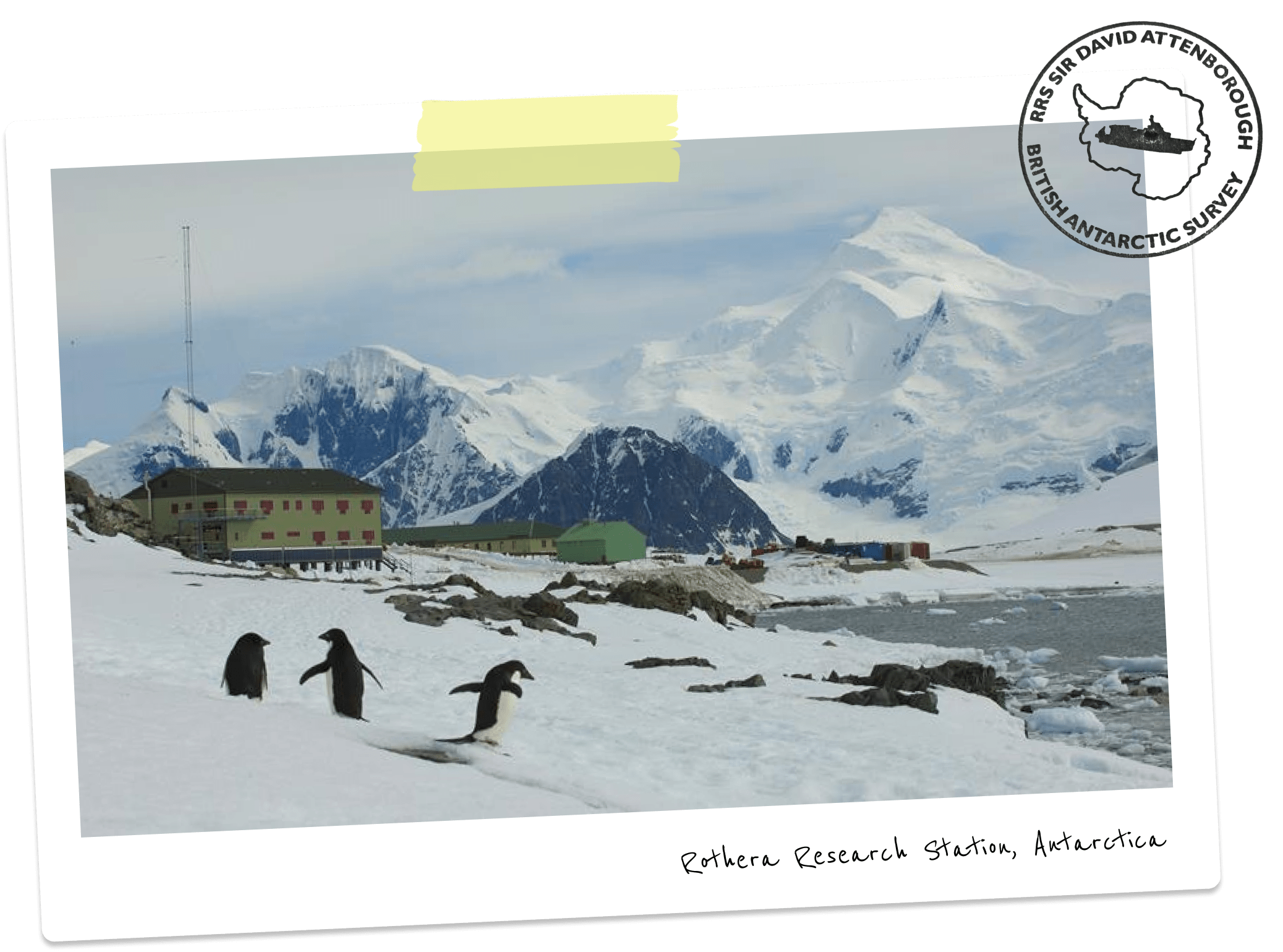 A snowy landscape with three green buildings of various sizes, with three penguins in the foreground. There are large, snow-covered mountains in the background.