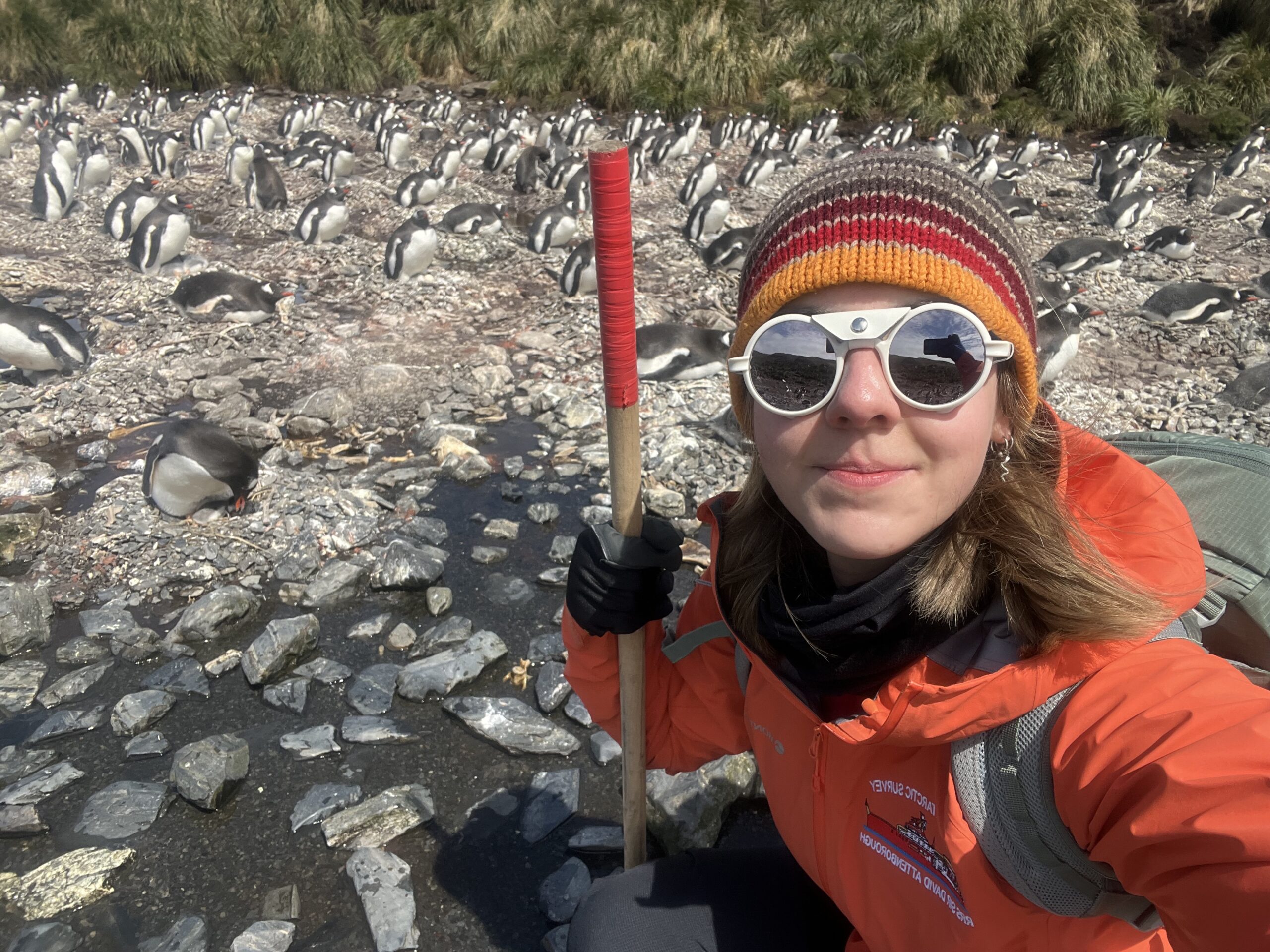 A woman in sunglasses and a woolly at crouches down on a rocky beach with penguins behind her