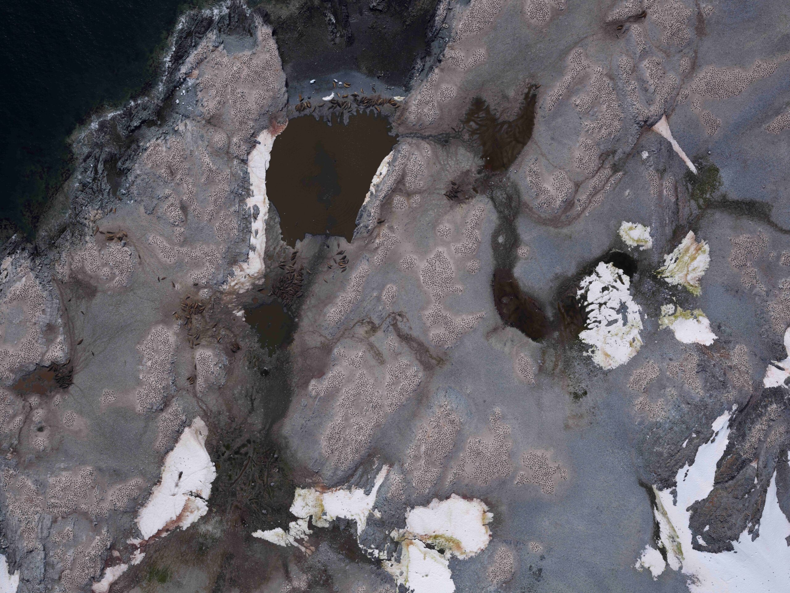 Aerial view of a rugged, rocky coastline with patches of snow and dark water. The landscape appears cold and barren, conveying a stark, remote atmosphere.