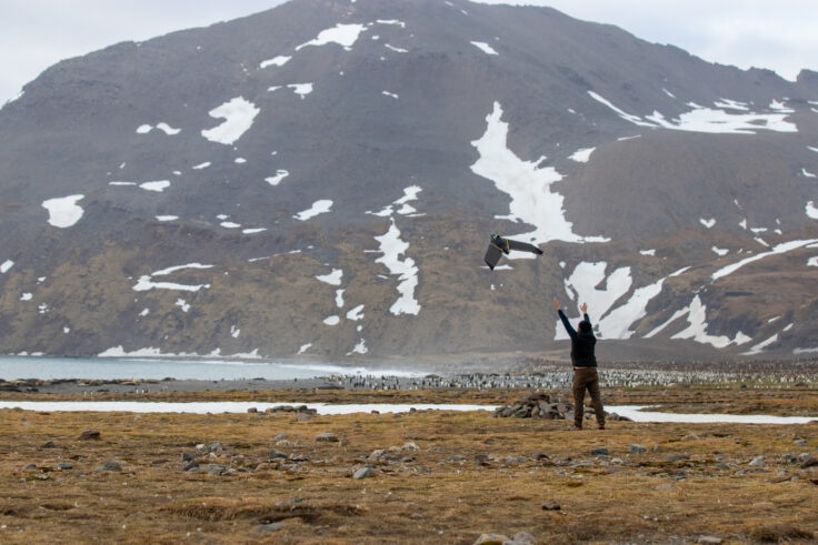 A person throws a bird-shaped drone into the air in a mossy and snowy landscape